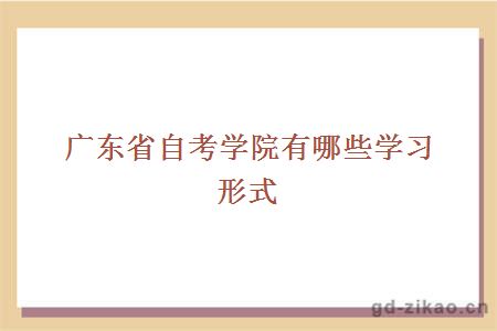 广东省自考学院有哪些学习形式