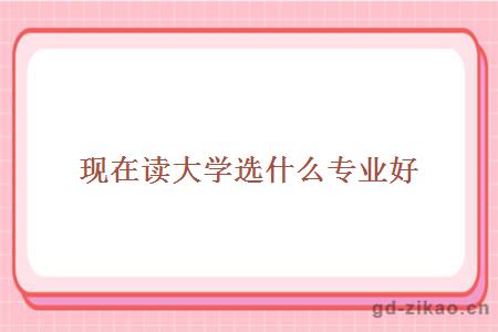 现在读大学选什么专业好