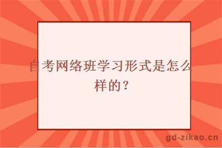 自考网络班学习形式是怎么样的？