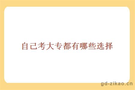 自己考大专都有哪些选择