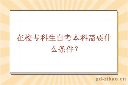 在校专科生自考本科需要什么条件？