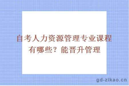 自考人力资源管理专业课程有哪些？能晋升管理