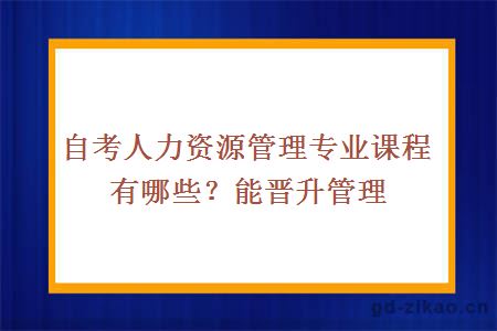 自考人力资源管理专业课程有哪些？能晋升管理层吗？