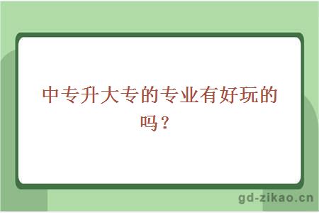 中专升大专的专业有好玩的吗？