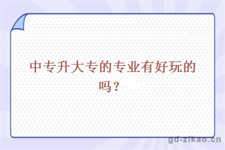 中专升大专的专业有好玩的吗?