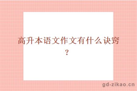 高升本语文作文有什么诀窍？