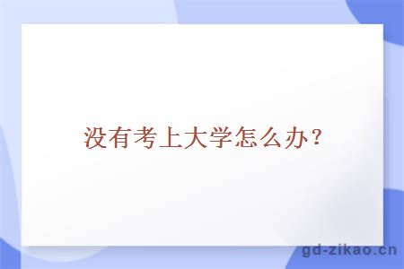 没有考上大学怎么办？