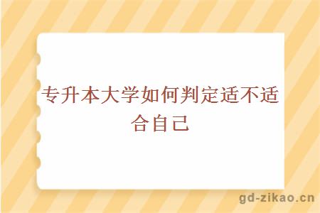 专升本大学如何判定适不适合自己