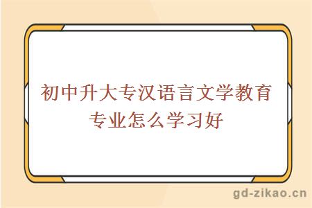 初中升大专汉语言文学教育专业怎么学习好