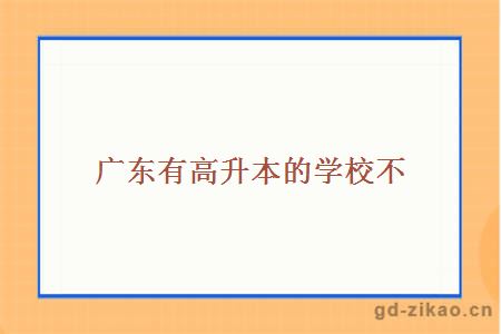 广东有高升本的学校不