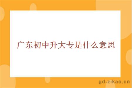 初中升大专意思