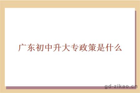 初中升大专政策