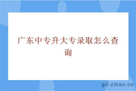 广东中专升大专录取怎么查询