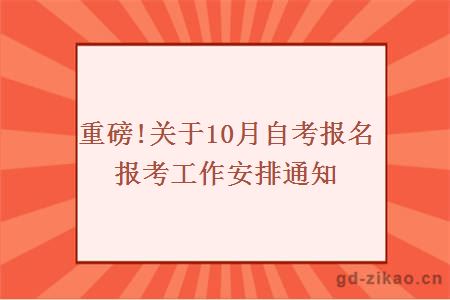 10月自学考试报名报考工作安排通知