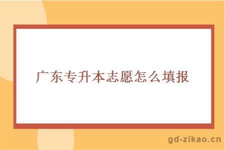 专升本志愿