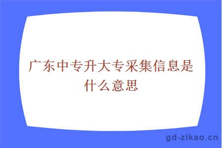 中专升大专采集信息