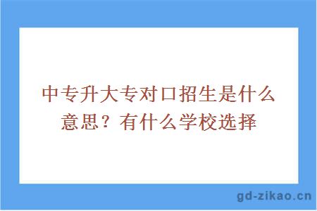 对口招生是什么意思