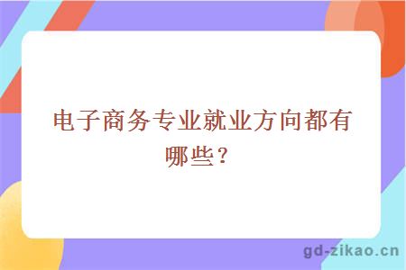 电子商务专业就业方向