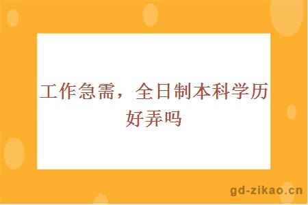 工作急需，全日制本科学历好弄吗