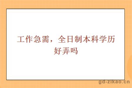 全日制本科学历