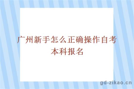 广州新手怎么正确操作自考本科报名