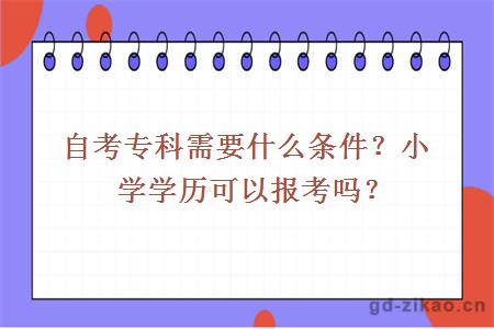 自考专科需要什么条件？小学学历可以报考吗？