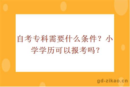自考专科需要什么条件小学学历可以报考吗