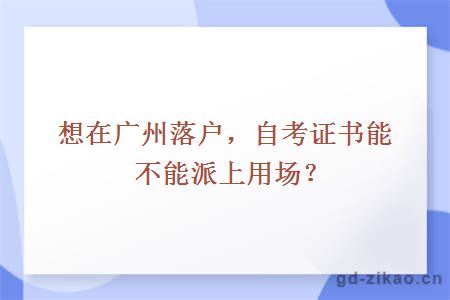 想在广州落户，自考证书能不能派上用场？