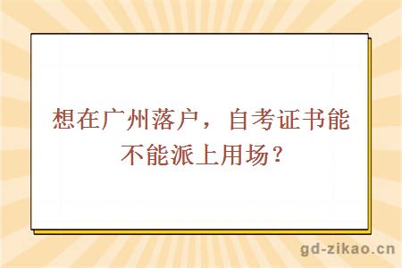 想在广州落户，自考证书能不能派上用场