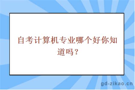 自考计算机专业哪个好你知道吗？