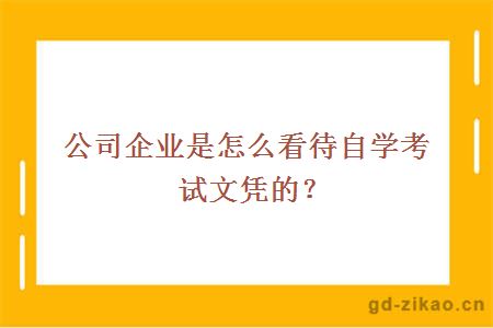 公司企业是怎么看待自学考试文凭的？