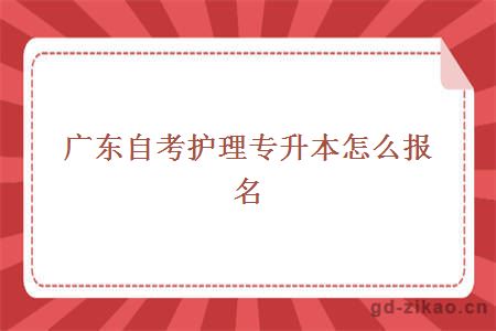 广东自考护理专升本怎么报名