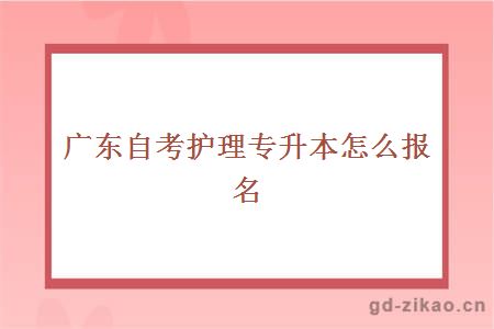 广东自考护理专升本怎么报名