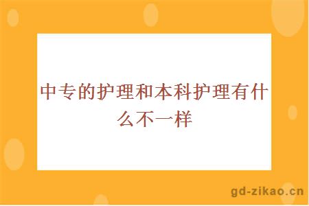 中专的护理和本科护理有什么不一样