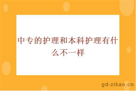 中专的护理和本科护理有什么不一样