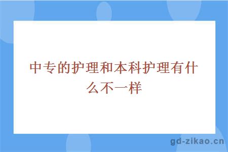 中专的护理和本科护理有什么不一样