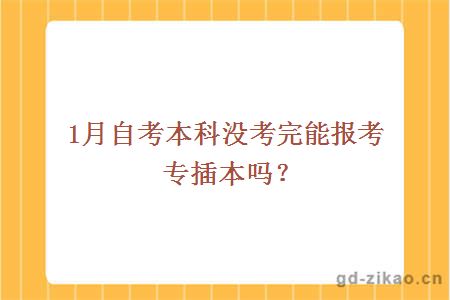 1自考本科没考完能报考专插本吗