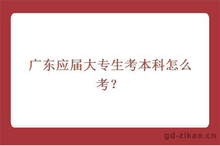 广东应届大专生考本科怎么考？