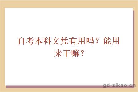 自考本科文凭有用吗？能用来干嘛？