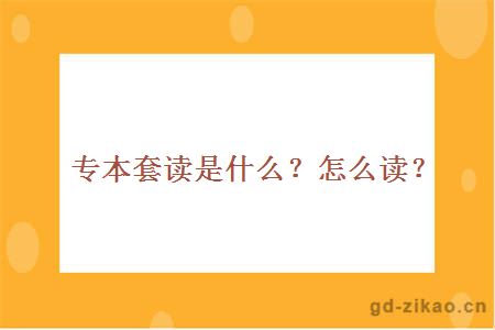 专本套读是什么？怎么读？