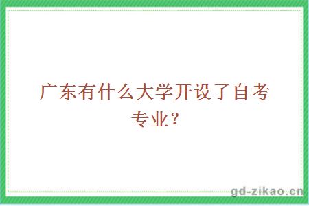 广东有什么大学开设了自考专业？