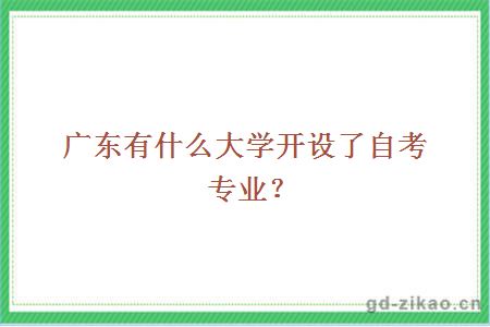 广东有什么大学开设了自考专业？