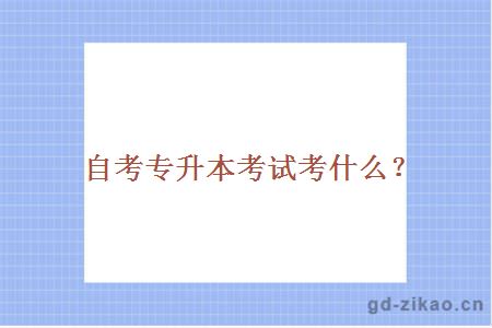自考专升本考试考什么？