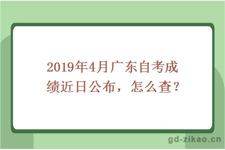 2019年4月广东自考成绩近日公布，怎么查？