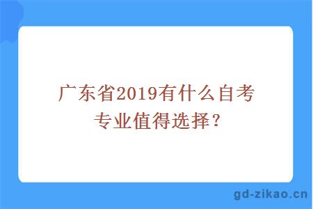 广东省2019有什么自考专业值得