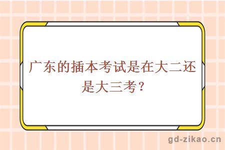自考专升本