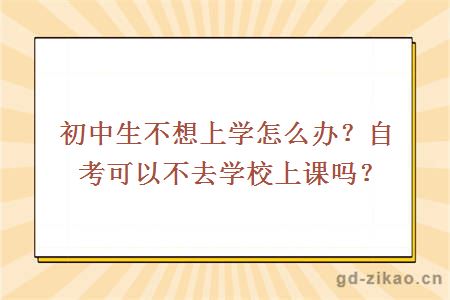 初中自考