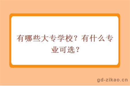 有哪些大专学校？有什么专业可选？