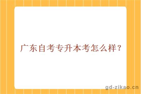 自考
