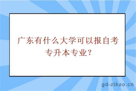 广东有什么大学可以报自考专升本专业？